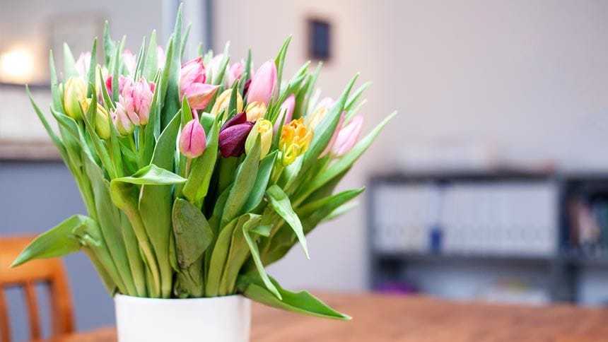 Impressie Coachingsruimte Gerny Coaching + Consluting